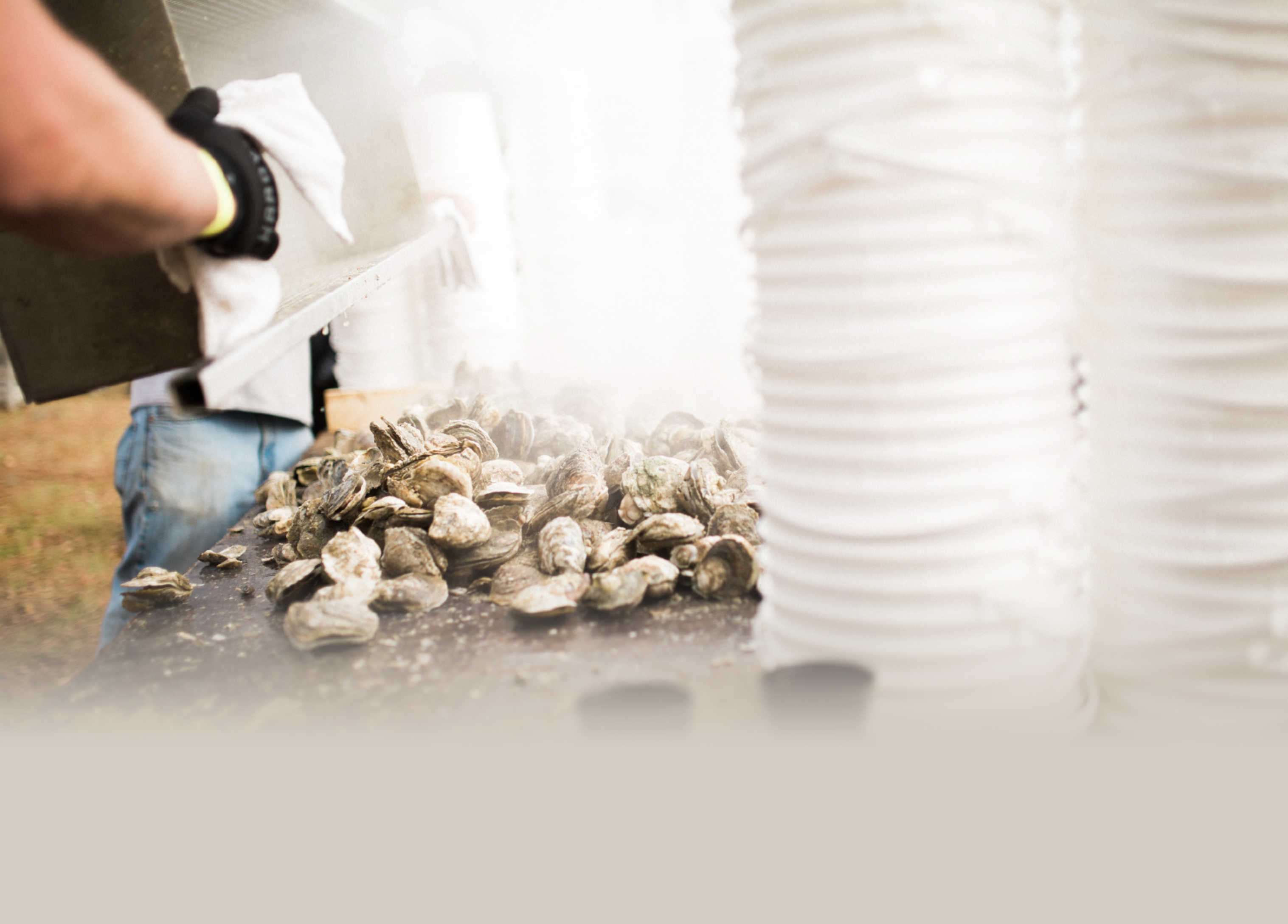 2024 Lowcountry Oyster Festival Sunday, February 4, 2024